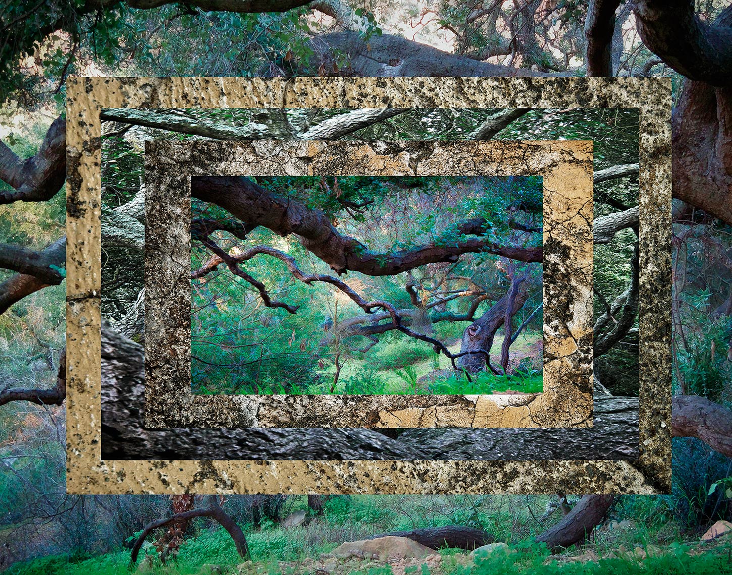 OAK SCAPE FRAMED