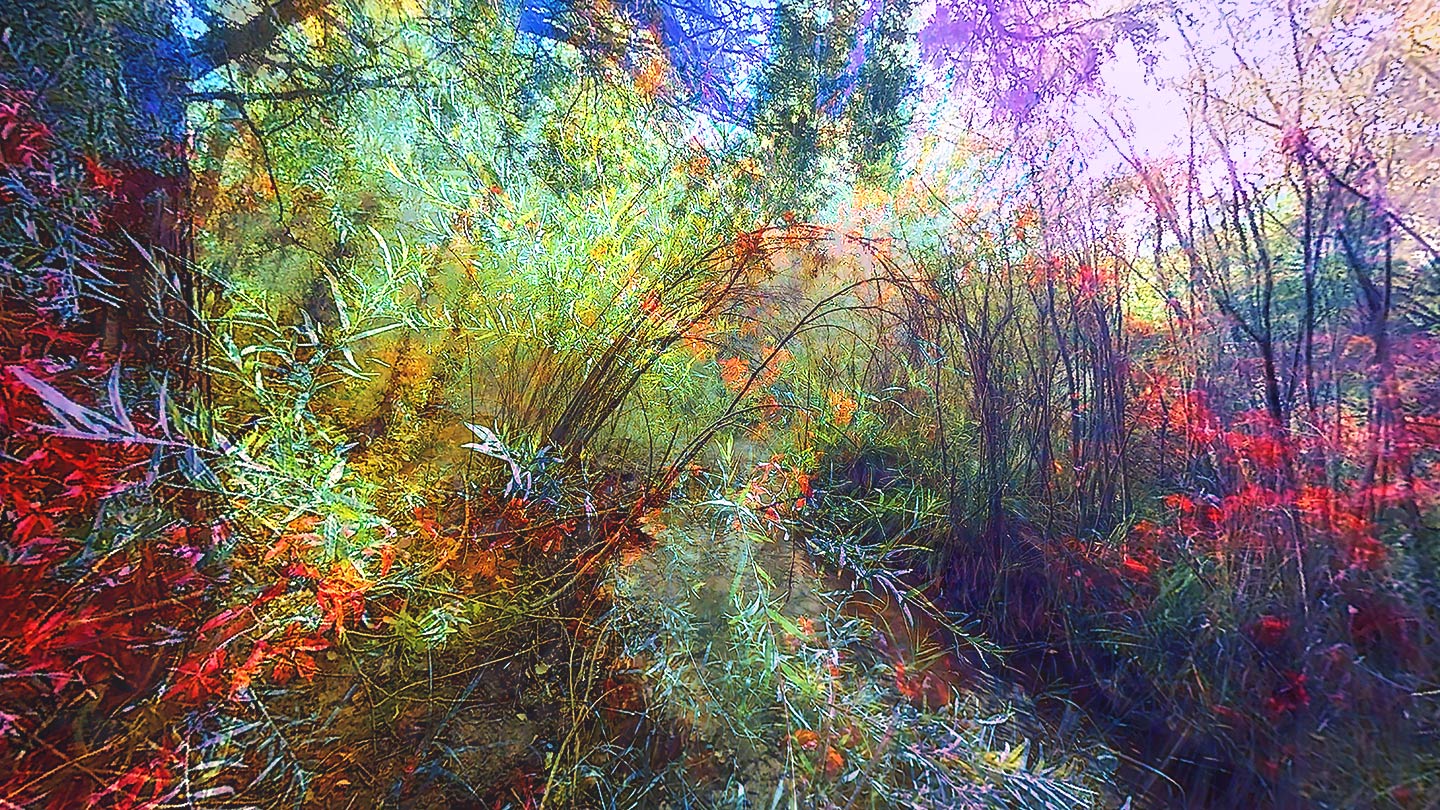 QMONET_3