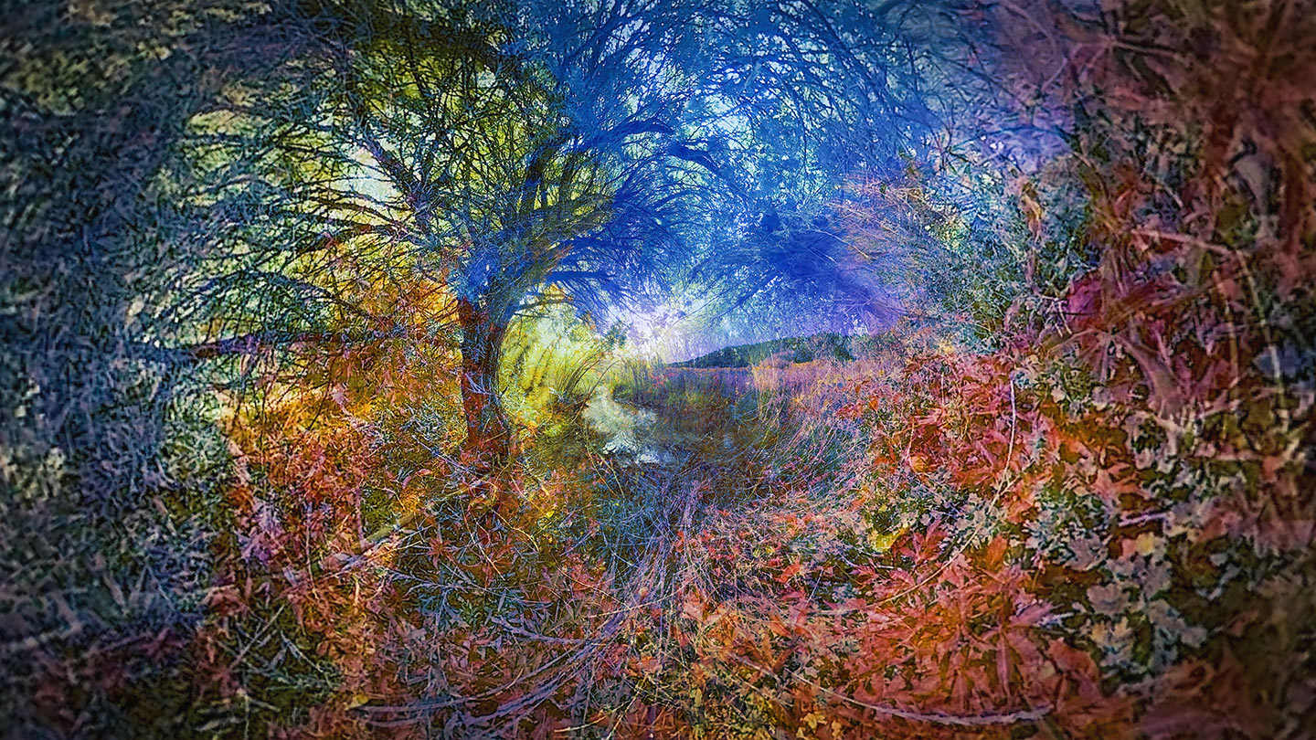 IMMERSIVE HORIZONS SERIES_MONET D#