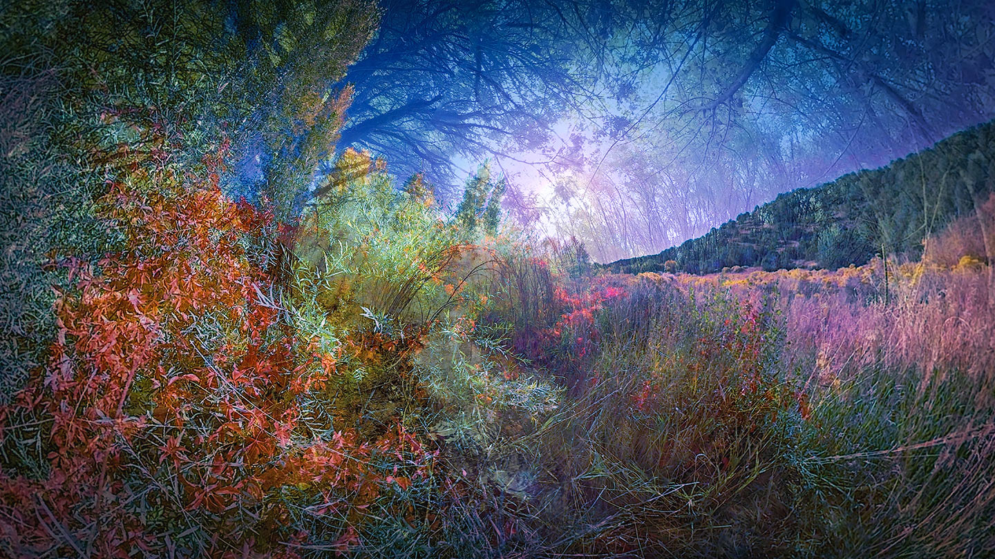 IMMERSIVE HORIZONS SERIES_MONET B#