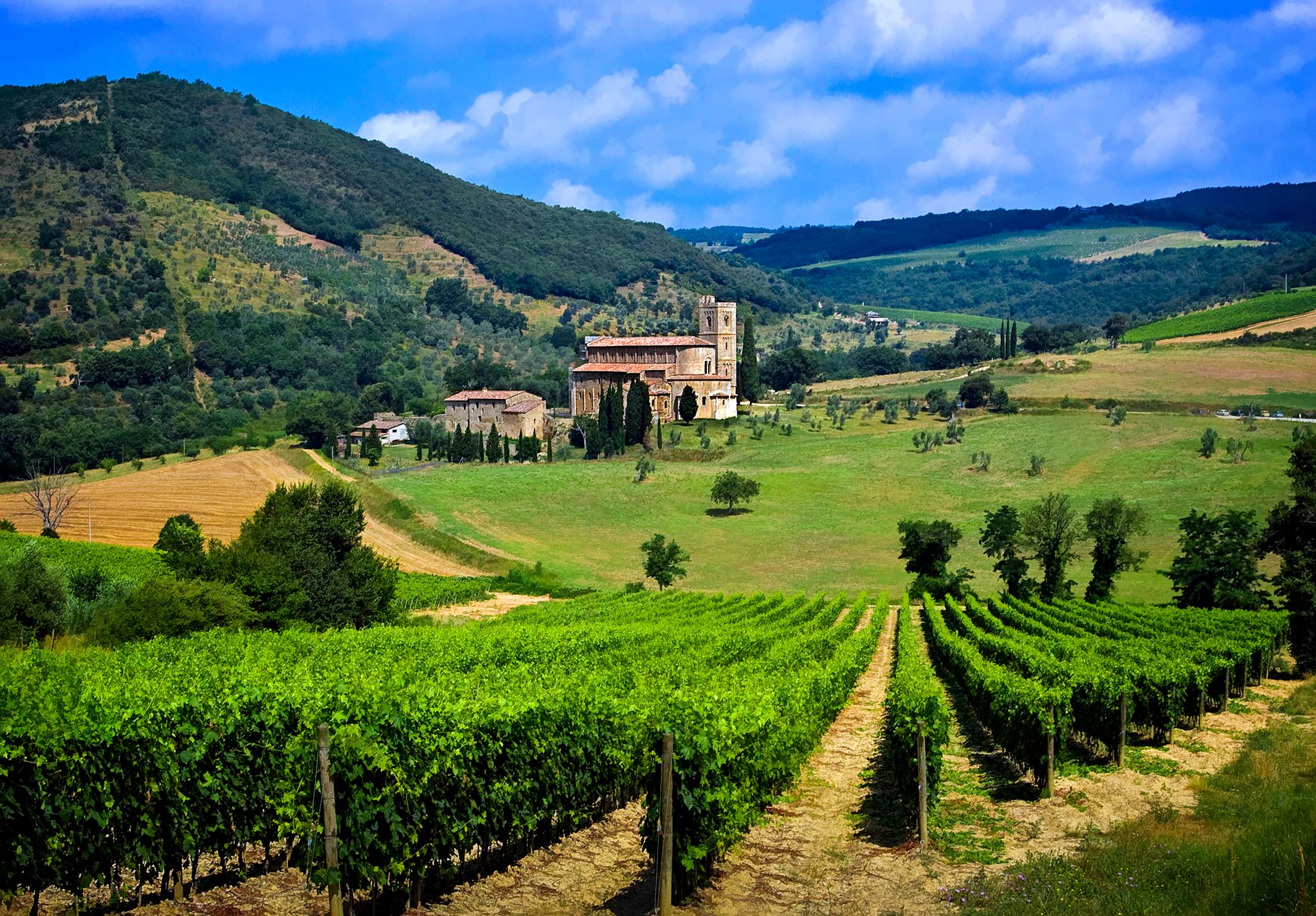 SANT ANTIMO TUSCANY